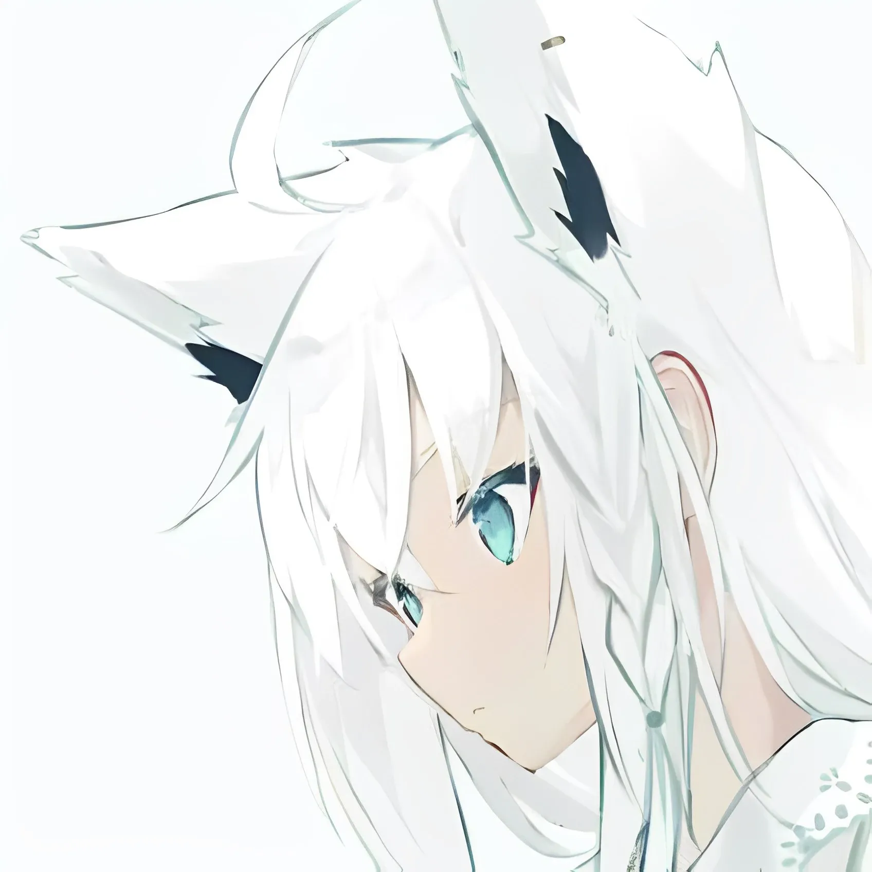 Momo5418’s