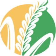 主页
