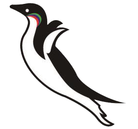 首页