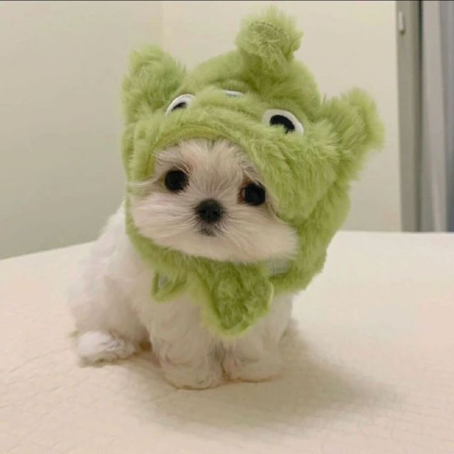 网络面板