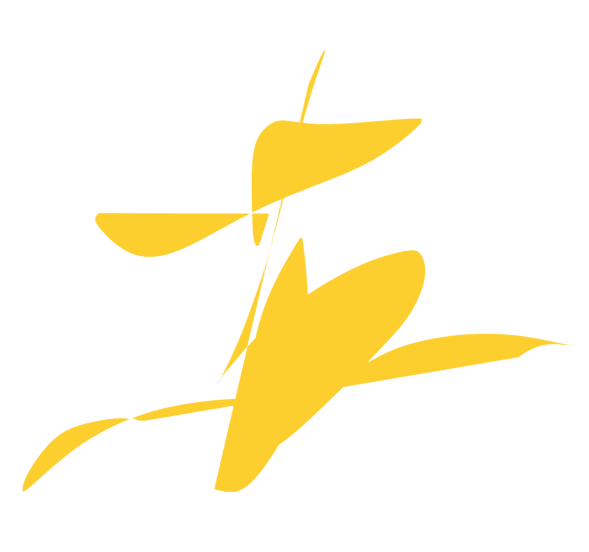 老苏