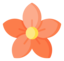 千花网