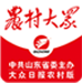 农村大众