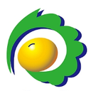 冰泉ERP
