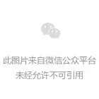 学长超甜扫码上号神器