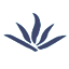 椰子转运管理系统