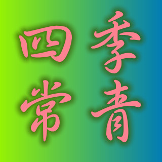 站点已过期