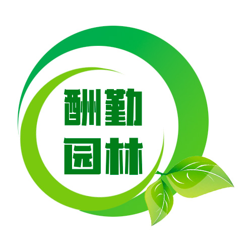 网站已到期