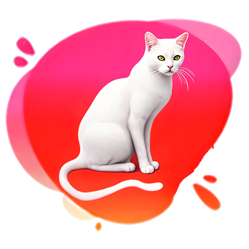 小公猫导航