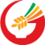 首页