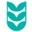 小麦伢