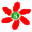温州花店