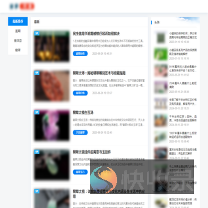波罗行业