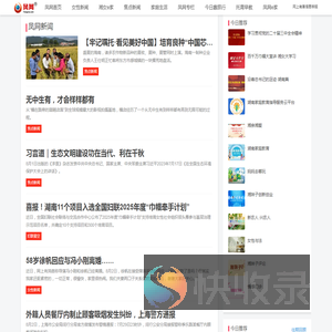 凤网