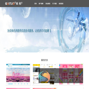 广西硅拓信息技术有限公司