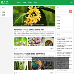 花艺阁