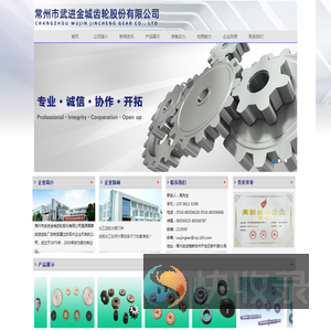 常州市武进金城齿轮股份有限公司
