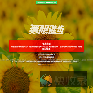 掷元网络科技