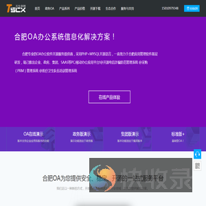 合肥OA系统