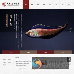 西北大学博物馆