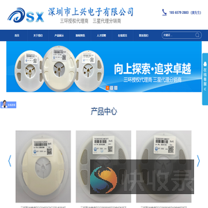 深圳市上兴电子有限公司