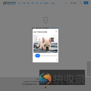 支付查询,最新支付行业动态