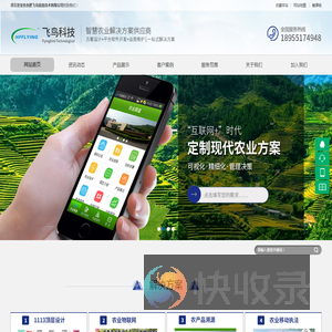 合肥飞鸟信息技术有限公司