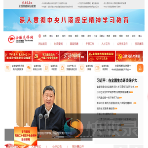 安徽先锋网