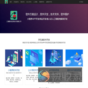 软件/嵌入式软件开发