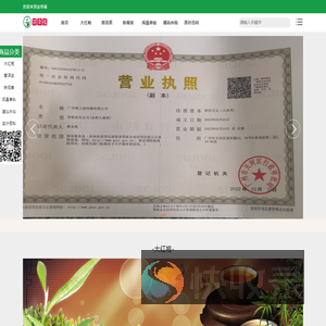 茶叶种类大全