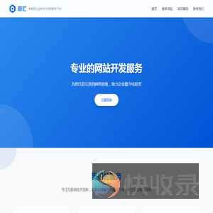 专业网站开发服务