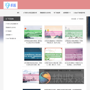 zf厂手表
