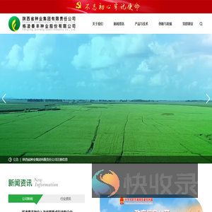 杨凌秦丰种业股份有限公司