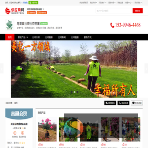 陕西绿化苗木