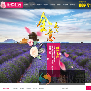 青州市全意花卉苗木种植有限公司