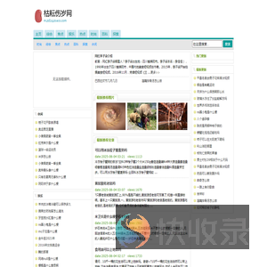 枯耘伤岁网