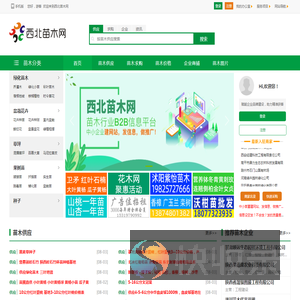 西北苗木网