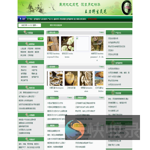 大连佰芝堂生物科技有限公司