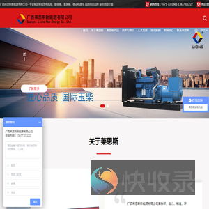 广西莱恩斯新能源有限公司