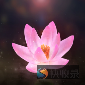 用户登录