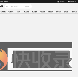 鸟网