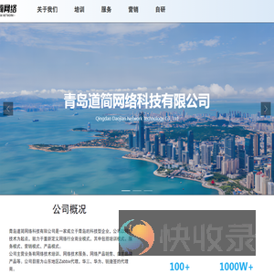 道简网络