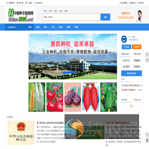 中国种子信息网