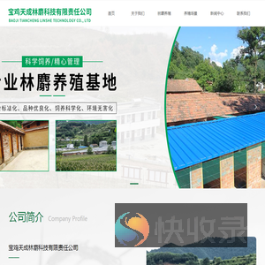 风县林麝养殖基地/风县林麝养殖/宝鸡天成林麝科技有限责任公司