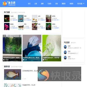 鱼百科