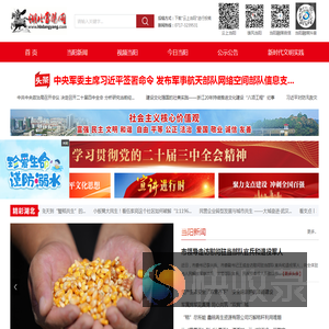 湖北当阳网