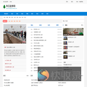 张王赵李网