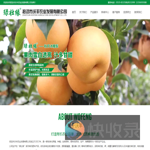 秋月梨批发商