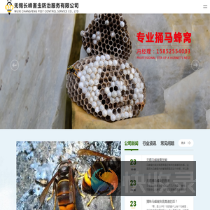 无锡捅马蜂窝