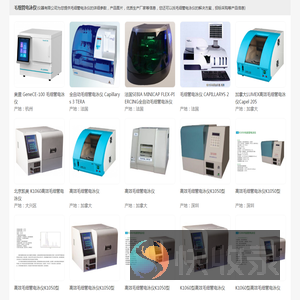 全柱成像毛细管电泳仪